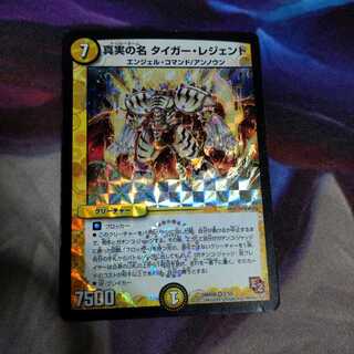 真実の名 タイガー・レジェンド
