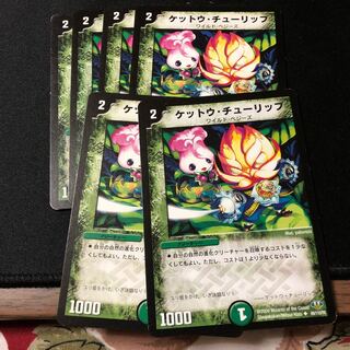 ケットウ・チューリップ