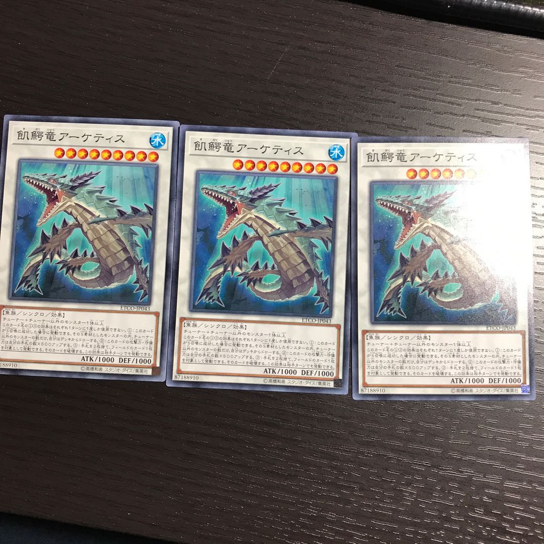 飢鰐竜アーケティス