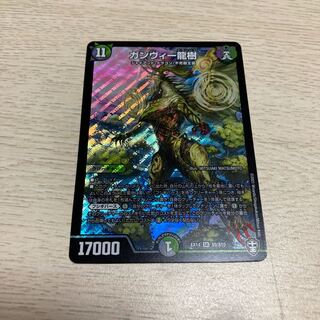 ガンヴィー龍樹