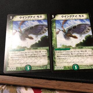 ウイングアイ・モス