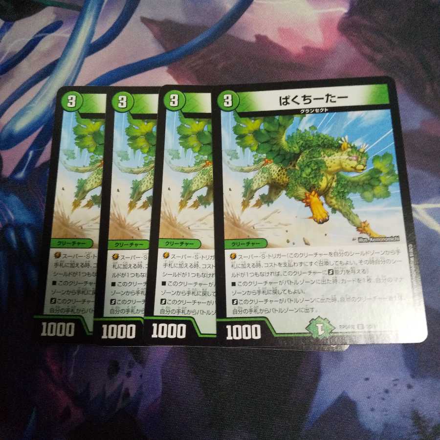 ぱくちーたー R