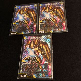 「雷光の聖騎士」