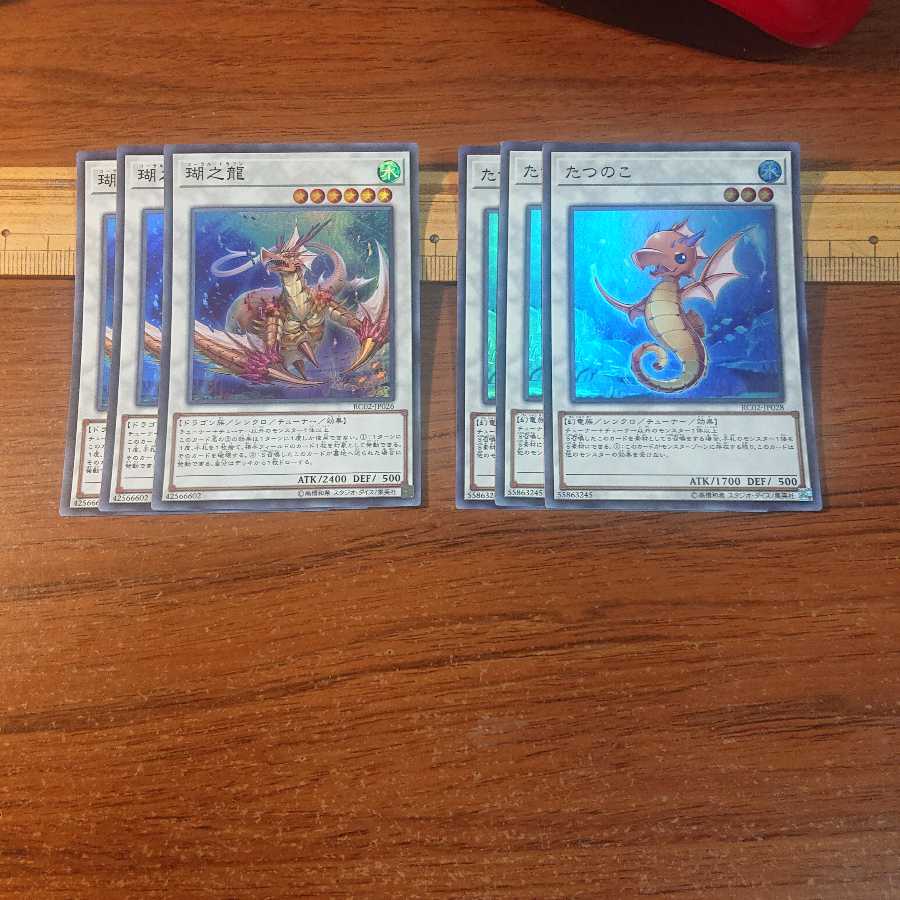 瑚之龍 スSR たつのこ SR 2種6枚