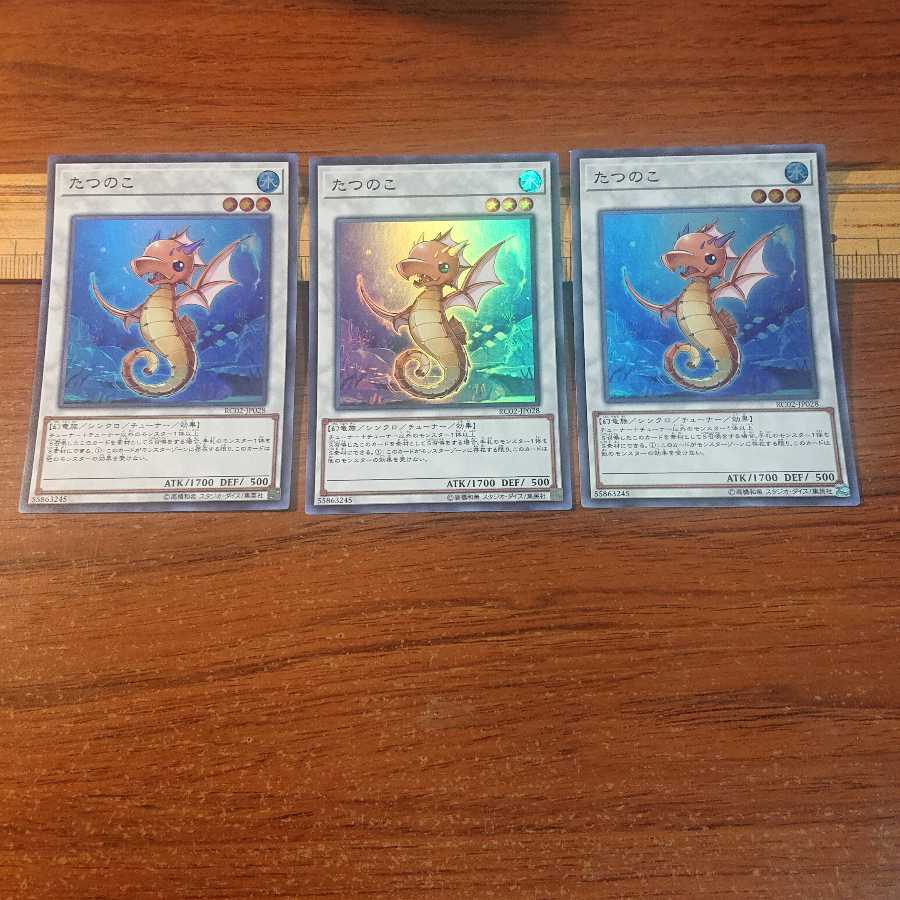 瑚之龍 スSR たつのこ SR 2種6枚