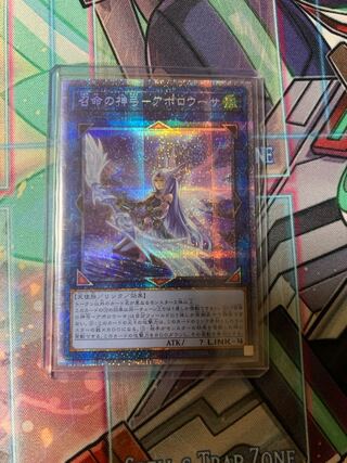 召命の神弓-アポロウーサ（イラスト違い版） プリズマティックシークレットレア