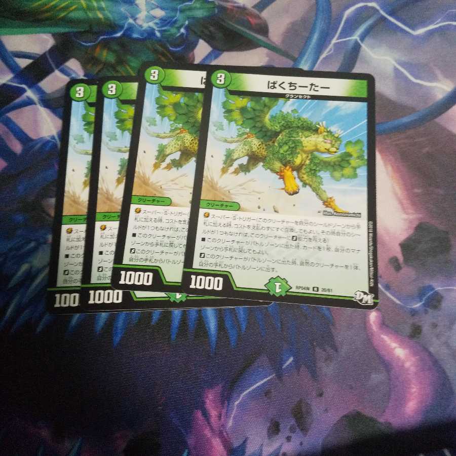 ぱくちーたー R