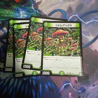 シビレアシダケ U