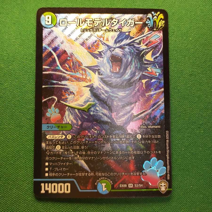 ロールモデルタイガー SR