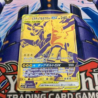 ピカチュウ＆ゼクロムGX UR 221/173