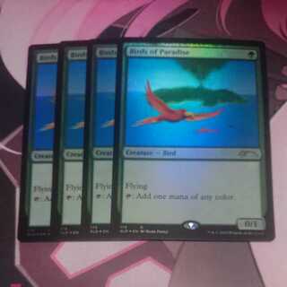 極楽鳥 Foil secret lair 4枚 4枚