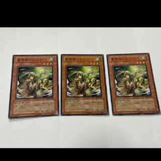 遊戯王 風霊使いウィン 3枚　型番あ-2509