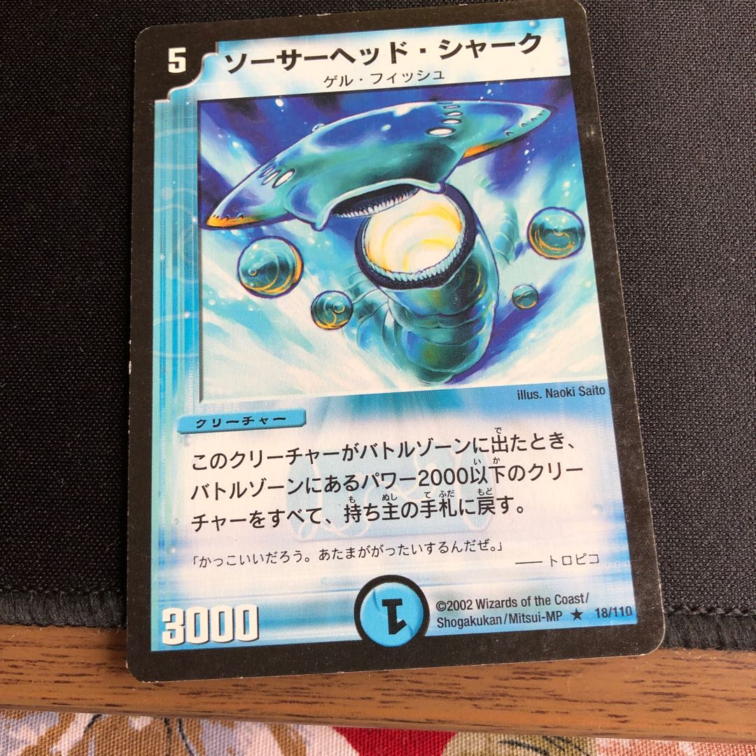 ソーサーヘッド・シャーク