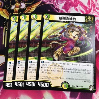 ring-tailed leopard (Panthera pardus orientalis)