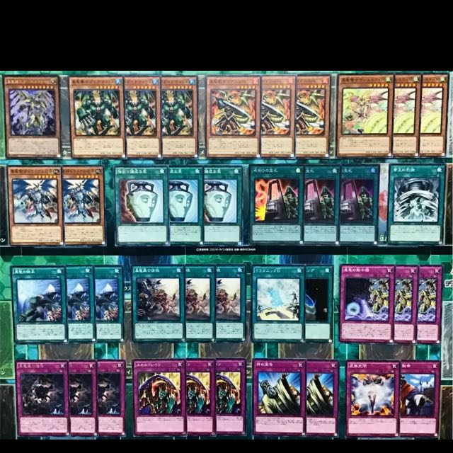 遊戯王 命削り真竜 デッキ 本格構築