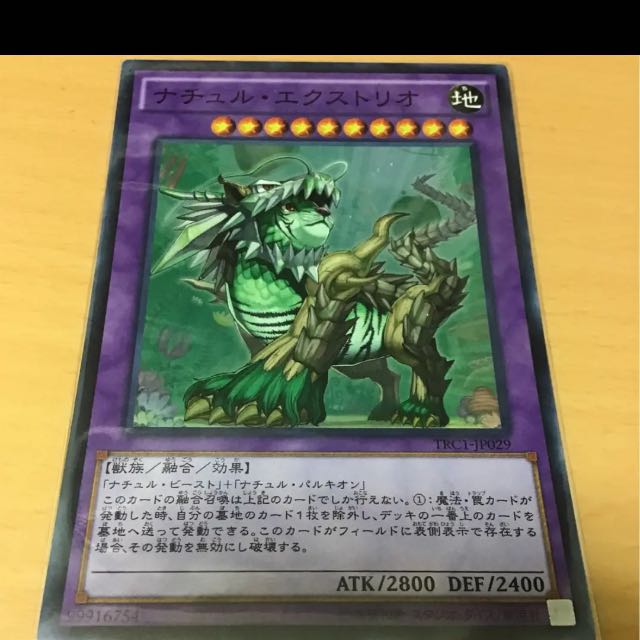 遊戯王 命削り真竜 デッキ 本格構築