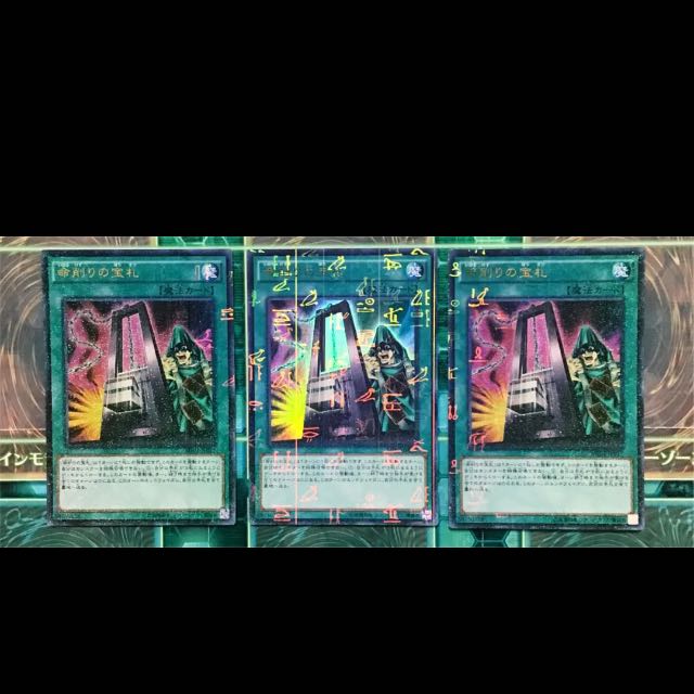 遊戯王 命削り真竜 デッキ 本格構築