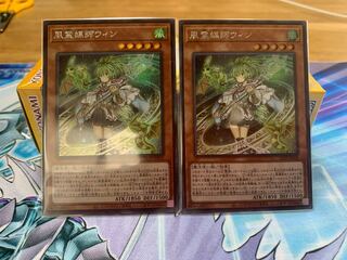 風霊媒師ウィン　シク