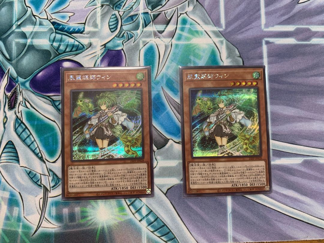 風霊媒師ウィン　シク