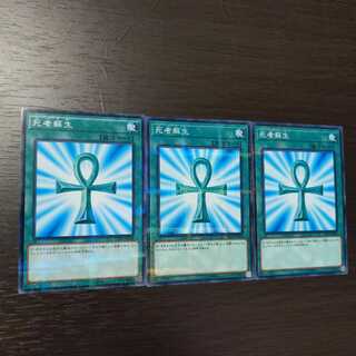 死者蘇生　ノーパラ