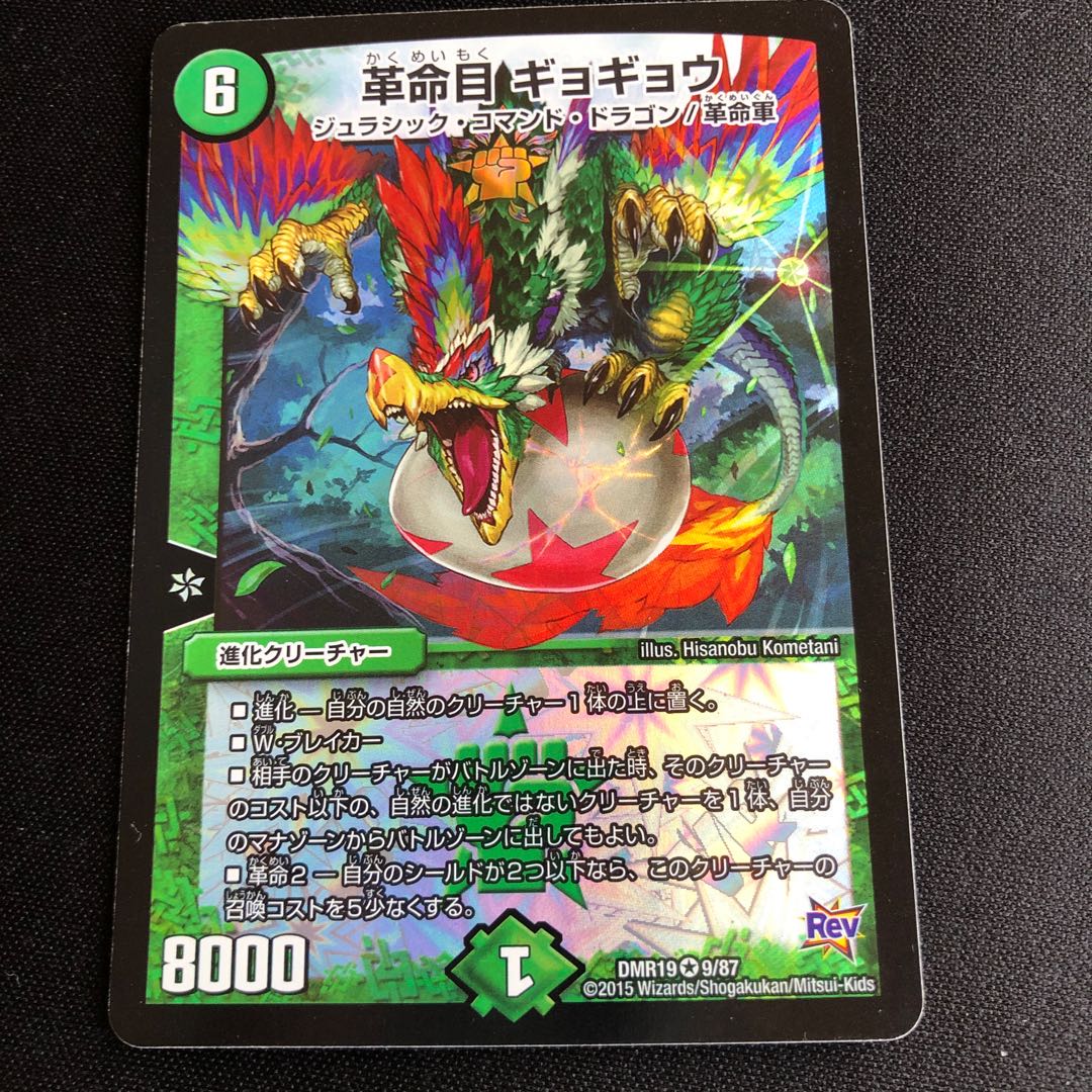 革命目 ギョギョウ