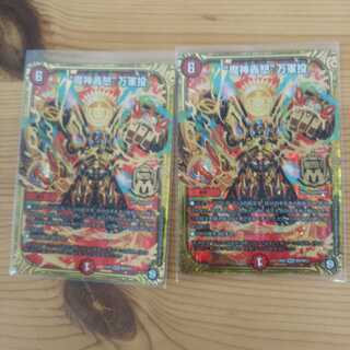 “魔神轟怒”万軍投2枚セット