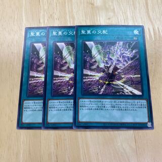 聖蔓の交配 ノーマル