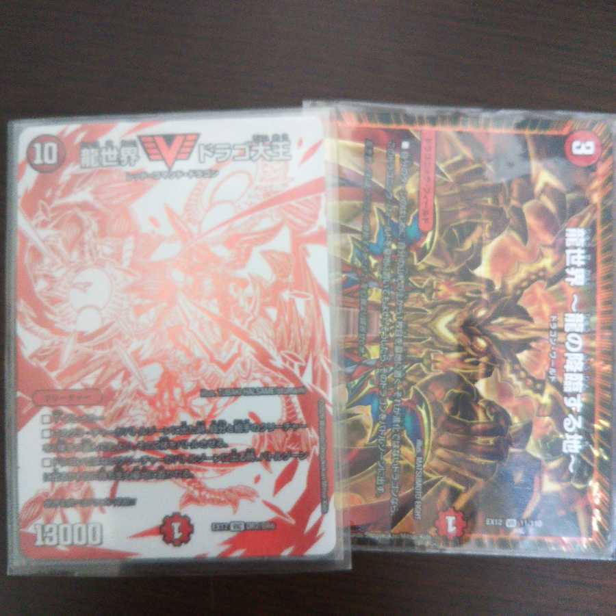 ドラゴ大王と龍世界