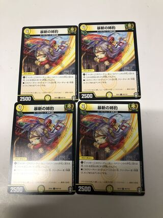 暴斬の姉豹4枚セット