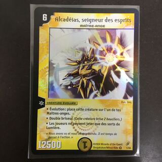 初期 海外版フランス語 聖霊王アルカディアス VR