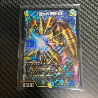 「雷光の聖騎士」