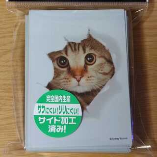 Did you call the cat?　Slieve.