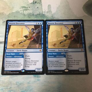 厚かましい借り手　2枚セット