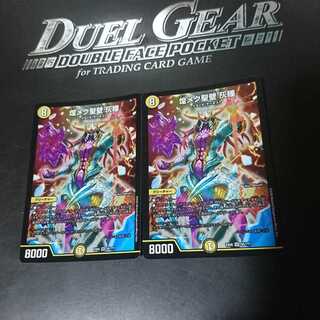 煌メク聖壁 灰瞳