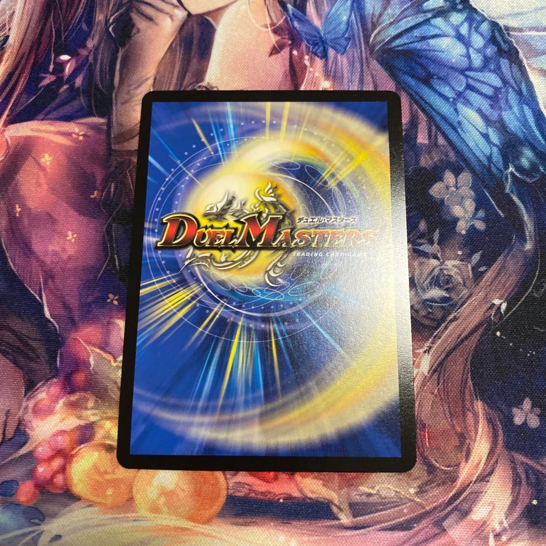 彩加様専用！超救命主 タイヨー