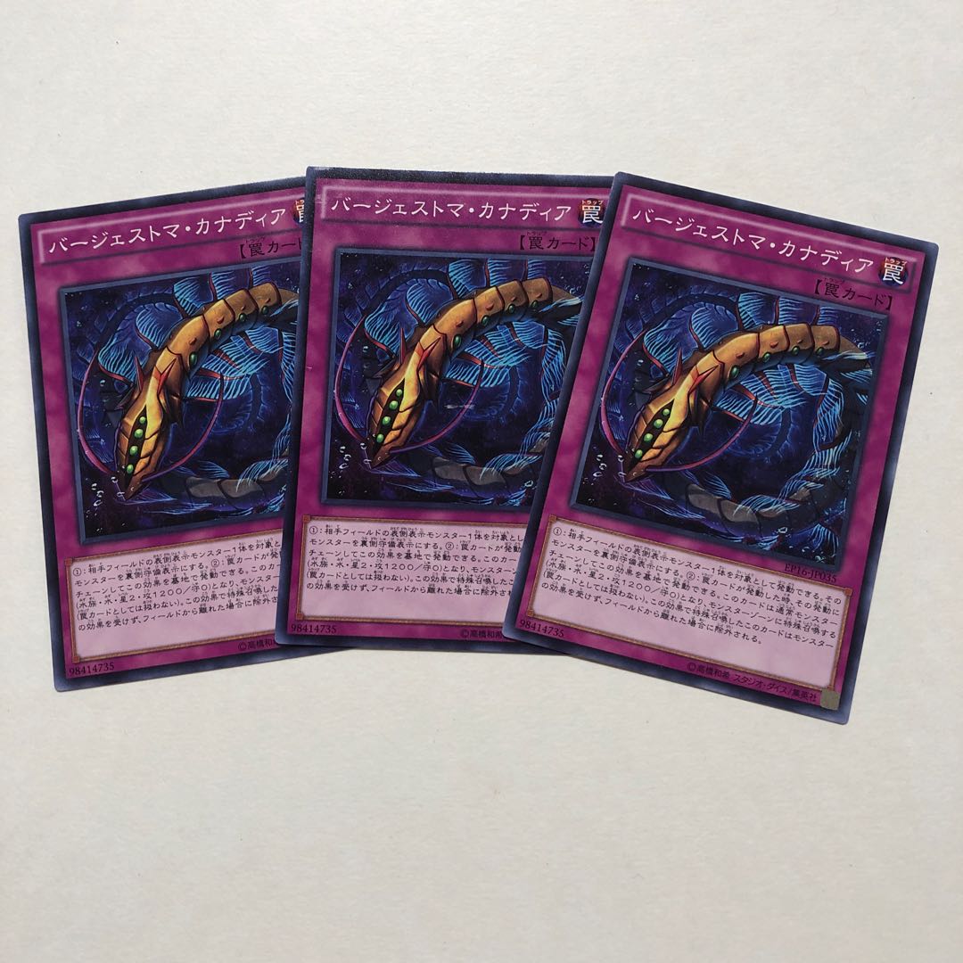 バージェストマ・カナディア ノーマル