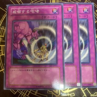 威嚇する咆哮 ノーマル　【きょうこ】