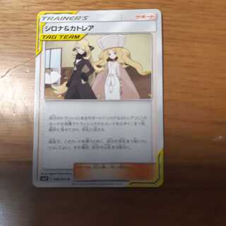 専用シロナ＆カトレア 1