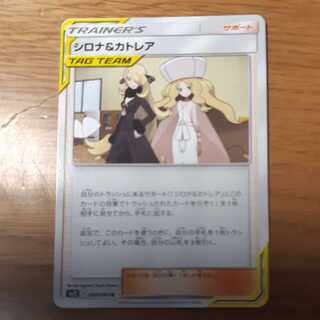 専用 シロナ＆カトレア 2