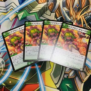 ライフプラン・チャージャー 4枚