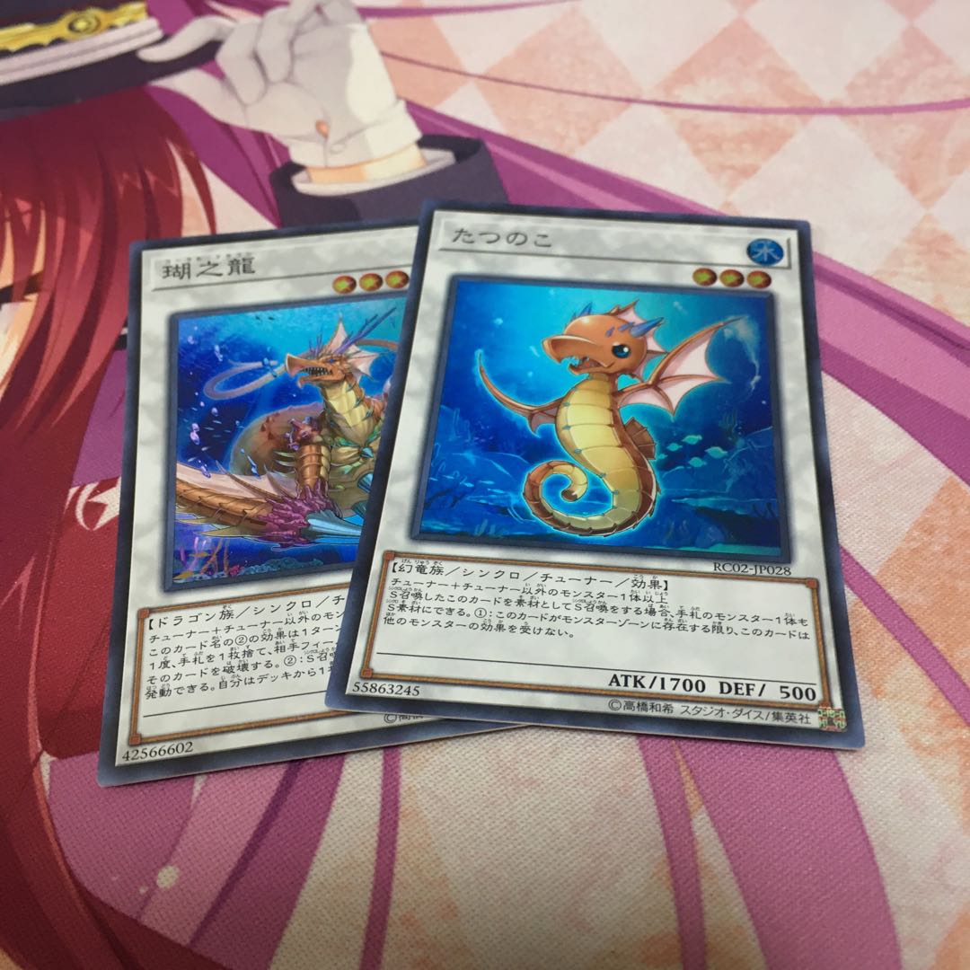 瑚之龍　たつのこ