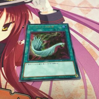 ハーピィの羽根帚 ウルトラレア　レアコレ