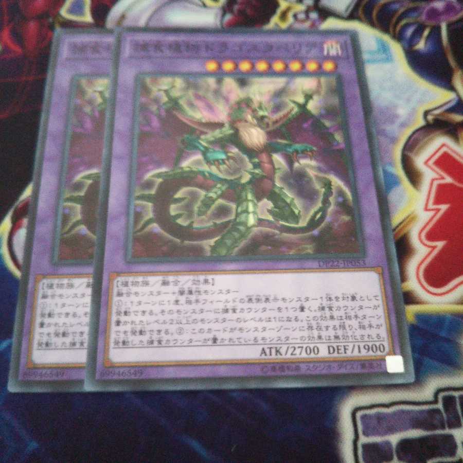 捕食植物ドラゴスタペリア ノーマル 2枚