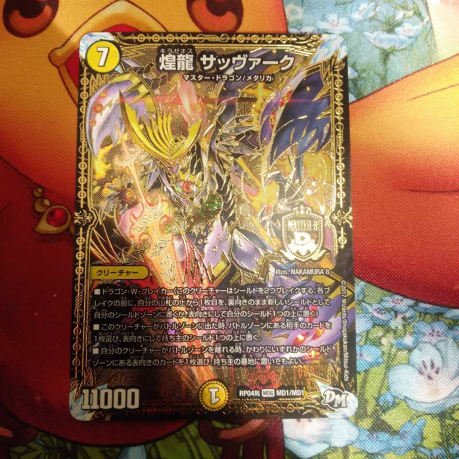 煌龍 サッヴァーク