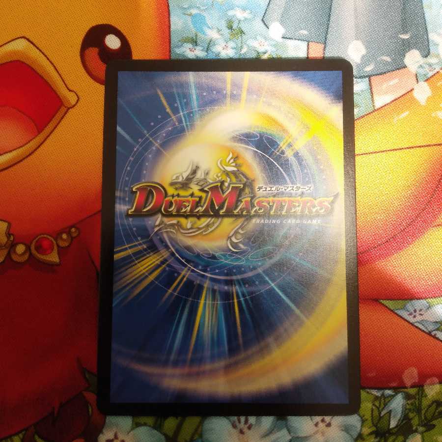 煌龍 サッヴァーク