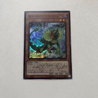 捕食植物サンデウ・キンジー スーパーレア