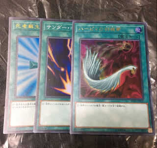 遊戯王 ハーピィの羽根帚　死者蘇生　サンダーボルト