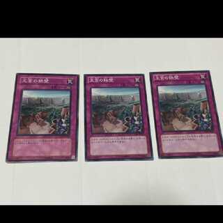 Yu-Gi-Oh! Imperial Iron Wall 3 copies
Model Number A-2366