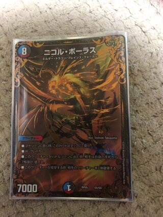 ニコル・ボーラス