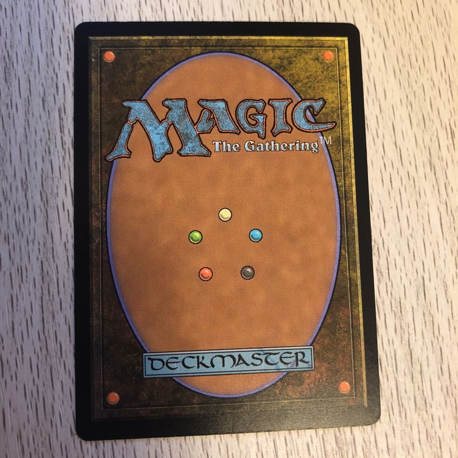 [専用出品］Saki様専用　mtg 真の名の宿敵